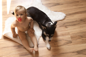 Adorable baby with pacifier and cute dog on faux fur rug, above view