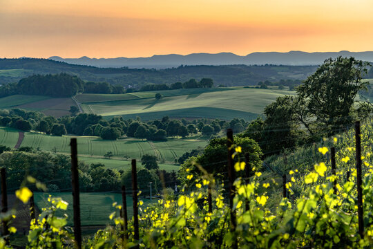 Goldenes Abendlicht über einer sanften Hügellandschaft, Kraichgau, Baden-Württemberg, Deutschland