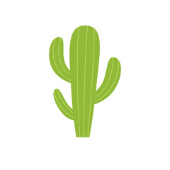 Cactus on white background vector illustration.