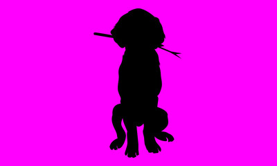 Dog vector silhouette design and background graphics 
