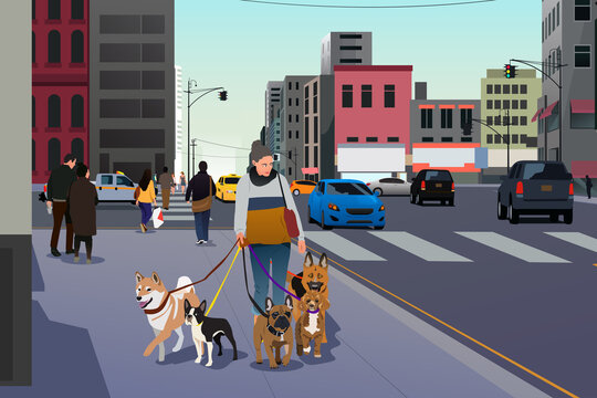 Dog Walker Woman Walking with Her Dogs Vector Illustration