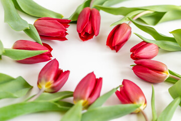 Naklejka premium Fresh red tulips arranged in a circle with copy space in the middle. Postcard ready.