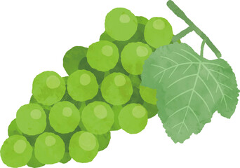 ぶどうのイラスト