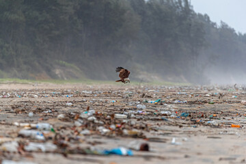 Garbage on a sea beach