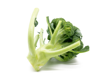A Broccoli isolated on white background