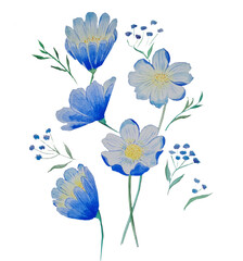 blue flowers,small and large flowers with green petals and stems blooms in spring and summer in fields and flower beds in the garden with pistils and stamens with pollen with a yellow core , print wit