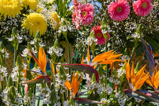 Blumenschmuck 4