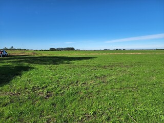 Fototapeta na wymiar campo para agronegócio, lavoura, pecuária