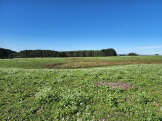 Fototapeta na wymiar campo fazenda verde, lavoura, pecuária