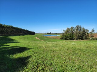 campo fazenda verde, lavoura, pecuária