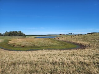 potreiro para pecu&aacute;ria