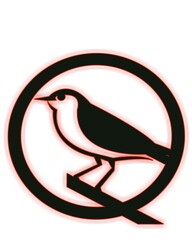 illustration of a bird