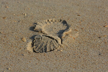 footprint on sand