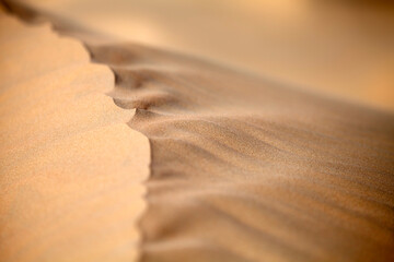 Abstract natural pattern of the sand dune in the desert in Abu Dhabi. Closeup macro texture.