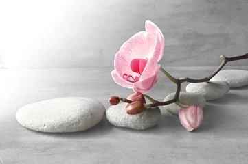 Composition with spa stones, orchid pink flower on grey background.