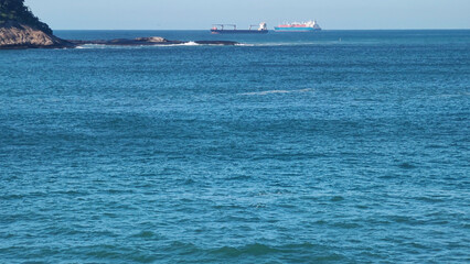 stone granite mineral hill wall cliff island forest sea ocean wave foam water blue sky leaf bush tree flower fruit horizon landscape rio de Janeiro travel freighter ship vessel cargo container oil tan