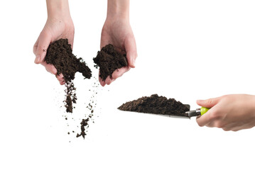Brown soil in woman hands isolated on white.