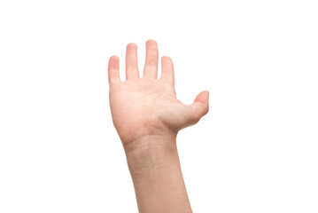 Obraz premium Woman hand isolated on a white background.