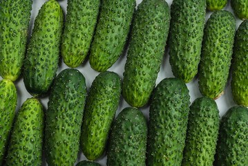 Fresh green cucombers as a background