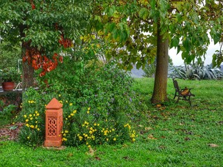 red apple tree