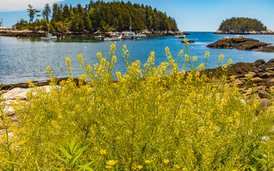 Fototapeta na wymiar Maine-Five Islands