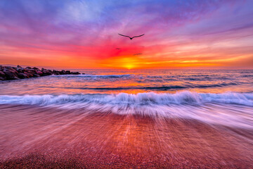 Ocean Sunset Inspirational Landscape Birds