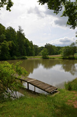 Fototapeta na wymiar Kleiner Teich im Wald mit Holzsteg - Tümpel