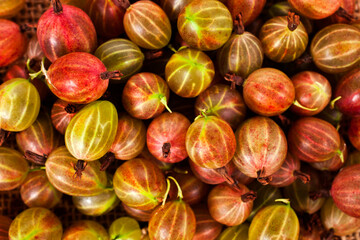 Background of colorful ripe red gooseberries. Top view.