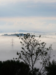 Obraz na płótnie Canvas Landscape in the mist