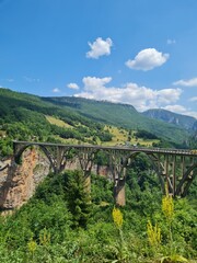 bridge over the river