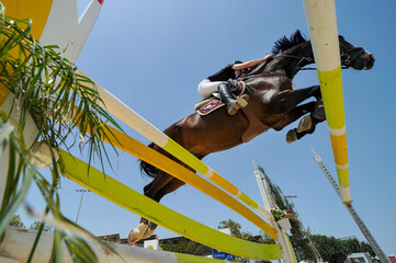 Bottom view on the rider on horse jumping over a hurdle during the equestrian event	