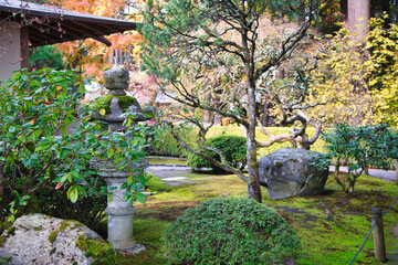 japanese garden with stone bridge