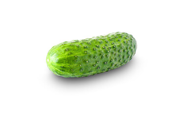 Isolated cucumbers. Fresh green cucumber on a white background. One cucumber closeup isolated 