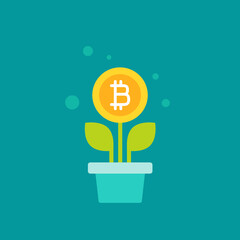 Plant in pot with green leaves and bitcoin as a flower. vector icon. Income growth flat icon.