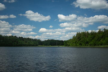 Beautiful summer day nearby lake and forest