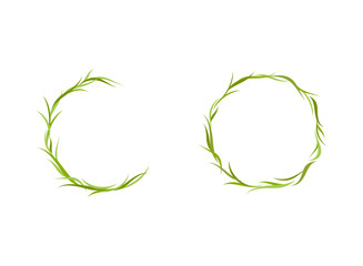 Wreath with green grass and herbs. Floral garland good for eco card, organic products.