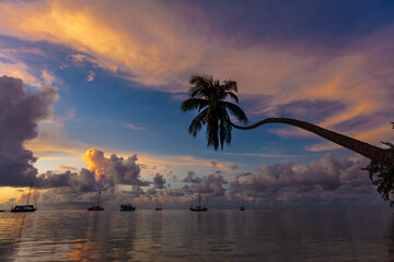 Lever de soleil à Mo'orea en Polynésie