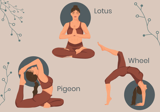 Set of yoga poses/assans. Illustrations of Lotus, Pigeon and Wheel poses
