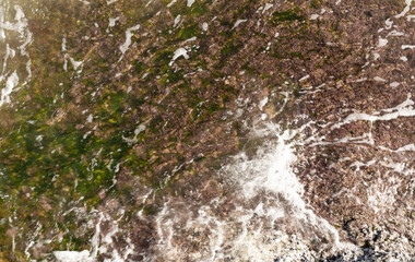 Background of mediterranean coast. Waves, rocks and green