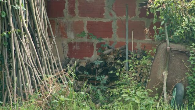 rondins de bois dans un cabanon abandonné .tas de branches posé contre un mur en brique