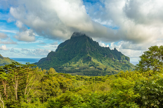 Mont Rotui sur l&rsquo;&icirc;le de Mo&rsquo;orea vue du belv&eacute;d&egrave;re 