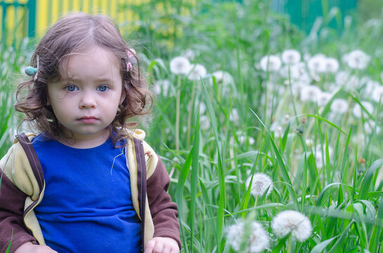 Cute baby girl in a field of dandelions