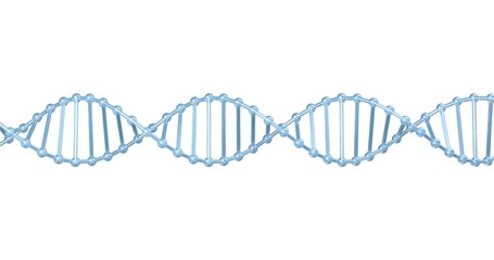 A blue DNA spiral rotation isolated on white background.3d illustration of dna with alpha layer mask. High quality loop footage glass genetic element. Genetic typing and testing.In vitro fertilization - Powered by Adobe