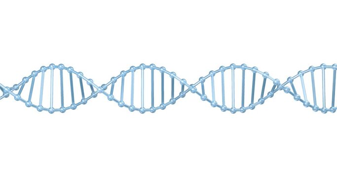 A blue DNA spiral rotation isolated on white background.3d illustration of dna with alpha layer mask. High quality loop footage glass genetic element. Genetic typing and testing.In vitro fertilization