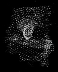 Black and White Mesh - Grit Gritty - Experimental Design