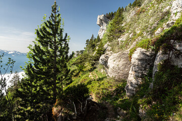 Massif de la Chartreuse.