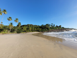 Beautiful paradisiacal and deserted beach on the coast of Brazil