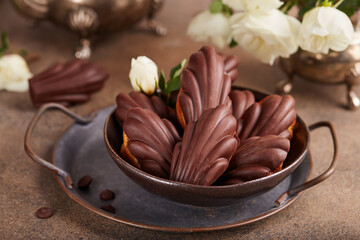 Madeleine cookies in a shape of seashells covered with dark chocolate. Traditional French Mini...