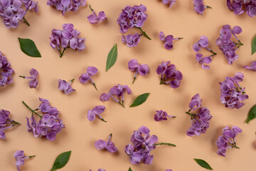 background of purple lilac flowers on a peach or beige background.Summer bright background,floral or plant design