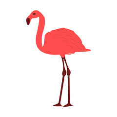 Сute little colorful bird isolated on a white background. Design for home decoration, wall art, social media post and story background vector illustrator. colorful hand drawn vector. Elements.
